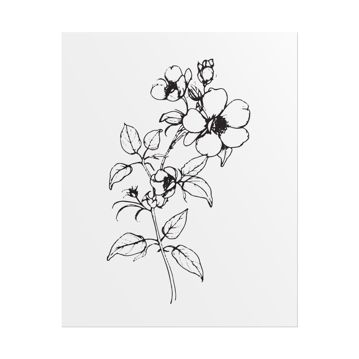 Floral Sketch Print: Minimalist Botanical Wall Art