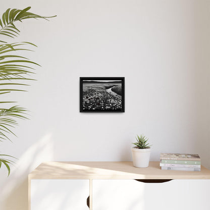 Framed Floral Landscape Canvas Print: Black and White Nature Decor