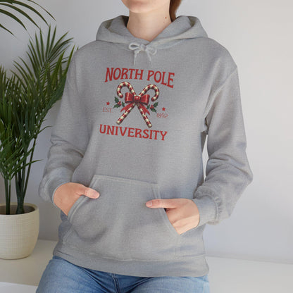 North Pole University Christmas Hoodie: Unisex Holiday Sweatshirt